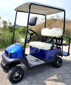 36v Electric Termite LED Edition Golf Cart Mini Four Seater